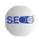 SEO45 AI icon